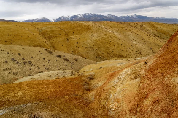 Гірський степ колір пустелі — стокове фото