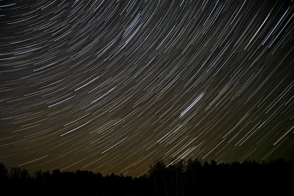 Estrellas pistas cielo bosque — Foto de Stock