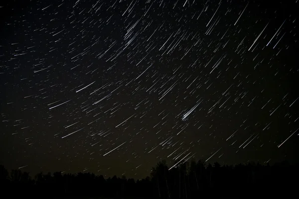 Stern verfolgt Himmel Wald — Stockfoto