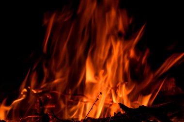 Yangın alev şenlik ateşi dal