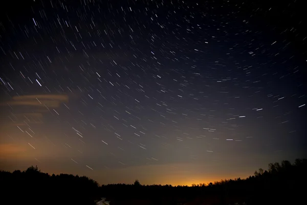 Estrellas pistas cielo bosque — Foto de Stock