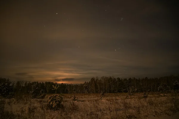 Abeto bosque noche nieve estrellas —  Fotos de Stock