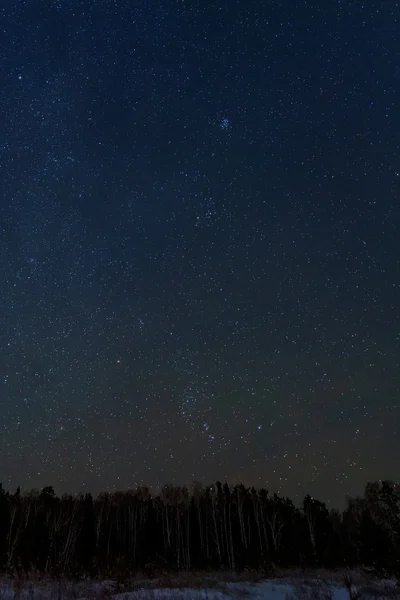 Cielo estrella bosque panorama — Foto de Stock