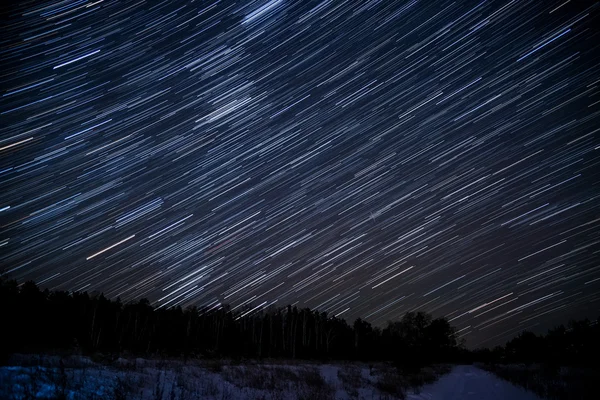 Estrelas trilhas céu floresta — Fotografia de Stock