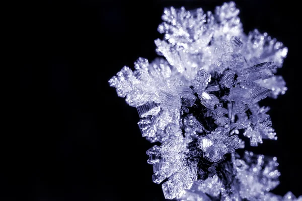 Krystaly vločka ice frost sníh — Stock fotografie