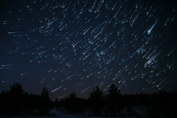 Estrellas pistas cielo bosque Imágenes de stock libres de derechos