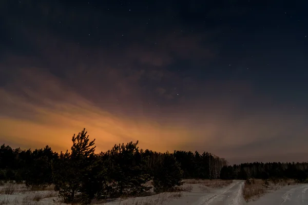 Gece Sahne Noel Ağaçları Yolun Ortasında Kış Orman Yıldız Gökyüzü — Stok fotoğraf