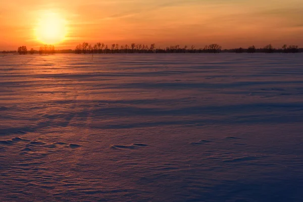 Západ slunce sníh pole slunce obloha — Stock fotografie