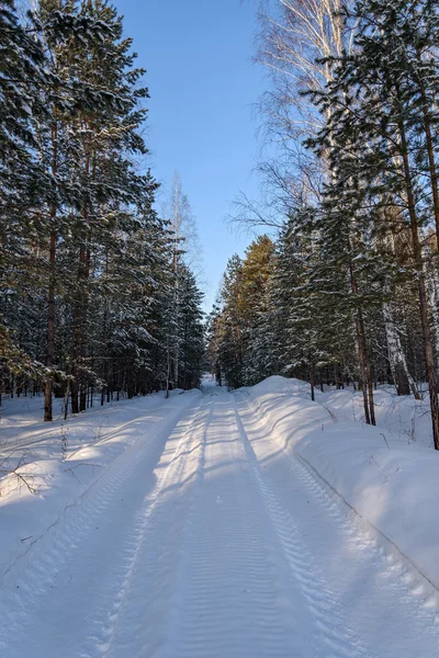 Winter forest snow road — Stock Photo, Image