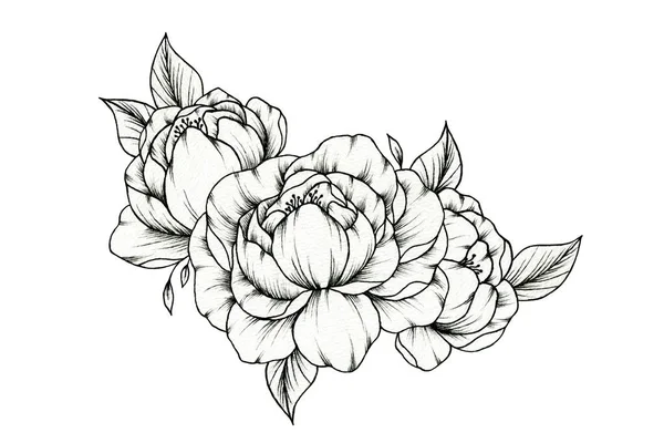 Vintage Disegnato Mano Peonia Bouquet Isolato Bianco Fogliame Botanico Floreale — Foto Stock