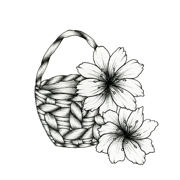 用白色的 老式的手工绘制的花卉图解隔开花朵的篮子的黑色图画 用篮子装饰乡村花卉 — 图库照片