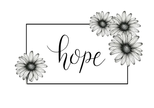 Hope Calligrafia Scritta Mano Con Cornice Quadrata Fiori Margherita Disegnati — Foto Stock