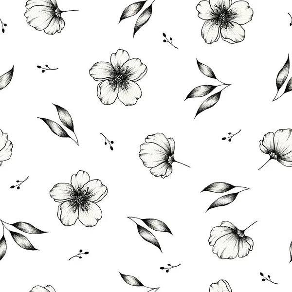 Vintage Graphic Floral Seamless Pattern White Botanical Background Hand Drawn — Stock Photo, Image