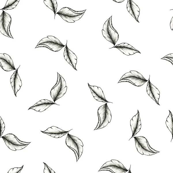 Modern black and white leaves seamless background on white, hand drawn black leaf sketch, botanic illustration for wedding stationary, greetings, wallpapers, fashion, wrapping paper, fashion, textile