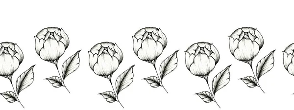 图形花卉无缝边框 花蕾和叶子在白色背景上的孤立元素 婚纱的插图 包装纸 纺织品 — 图库照片