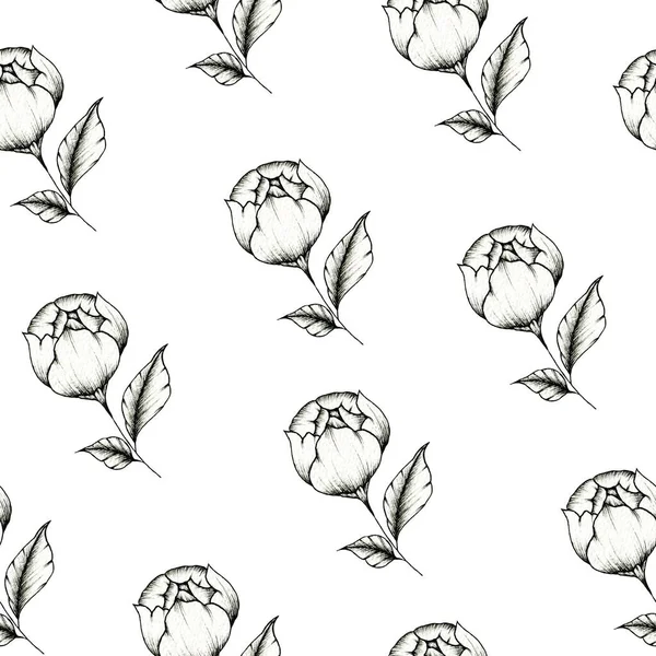 Peony bud seamless background on white, hand drawn back and white flower sketch, botanic illustration for wedding stationary, greetings, wallpapers, fashion, wrapping paper, fashion, textile