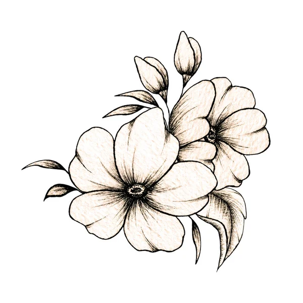 简单线条画花卉构图 各种大小花和叶子在白色背景上隔离 温暖油墨画古色古香典雅的花朵构图 — 图库照片