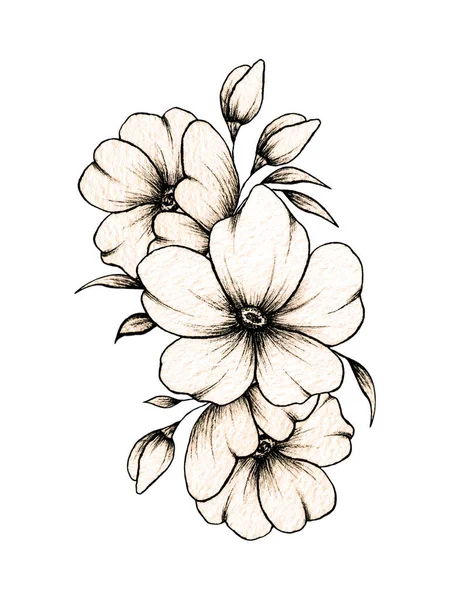 简朴的手绘花卉构图 各种大小花和叶子在白色背景上隔离 温暖的油墨画出古色古香典雅的花朵构图 — 图库照片