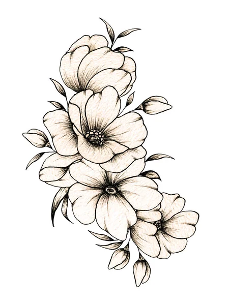 Hand Drawn Floral Composition Various Big Small Flowers Leaves Isolated — 스톡 사진