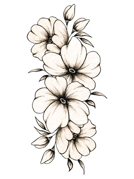 Line Art Hand Drawn Floral Composition Various Big Small Flowers — 스톡 사진