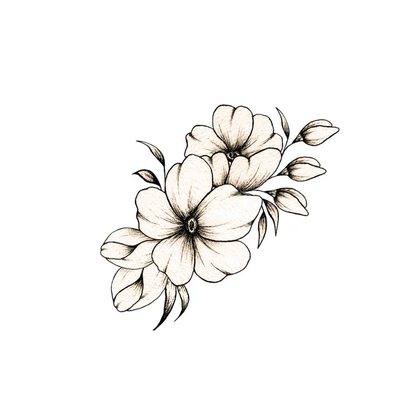 Composição Floral Desenhada Mão Simples Com Várias Flores Folhas Grandes — Fotografia de Stock