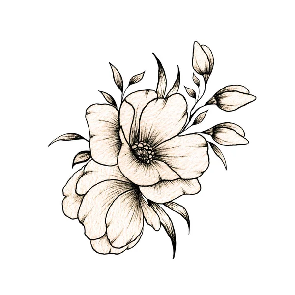 Desenho Buquê Floral Vintage Composição Flor Floral Primavera Desenho Tinta — Fotografia de Stock