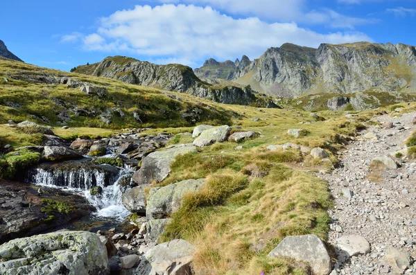 Fluxo alpino nos Pirinéus Atlânticos, Bearn — Fotografia de Stock