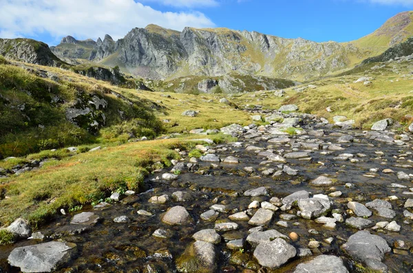 Fluxo alpino nos Pirinéus Atlânticos, Bearn — Fotografia de Stock