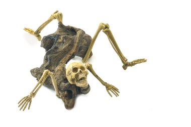 Iskelet ghost ölümcül deney.