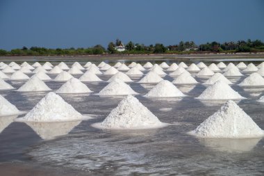 tuz çiftlik Tayland.