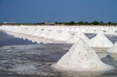 tuz çiftlik Tayland.
