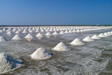 tuz çiftlik Tayland.