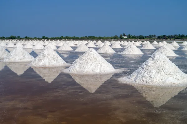 tuz çiftlik Tayland.