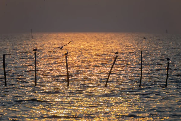 Twilight ocean sunset. — Stock Photo, Image