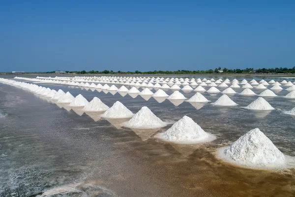 Salt gård Thailand. Stockbild