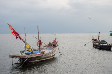 Balık tekneleri Tayland.