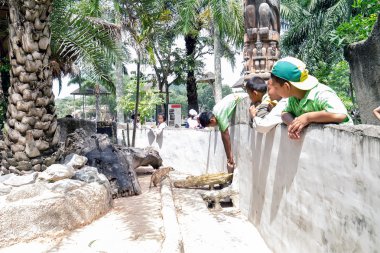 Çöl faresi Hayvanat Bahçesi'nde.