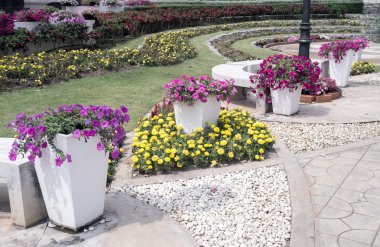 Petunya Park.