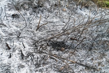 çim tarihinde söndürülmesi güç ateş.