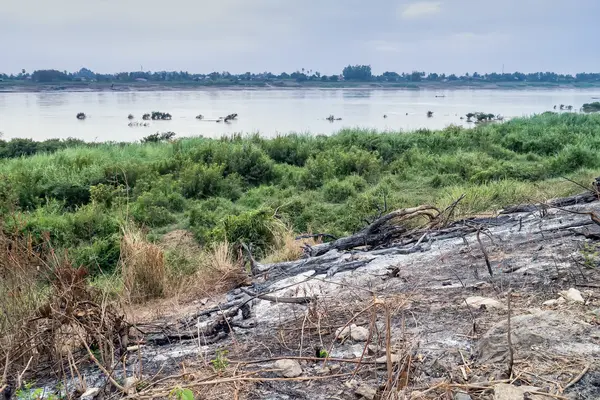 Nach Flächenbrand. — Stockfoto