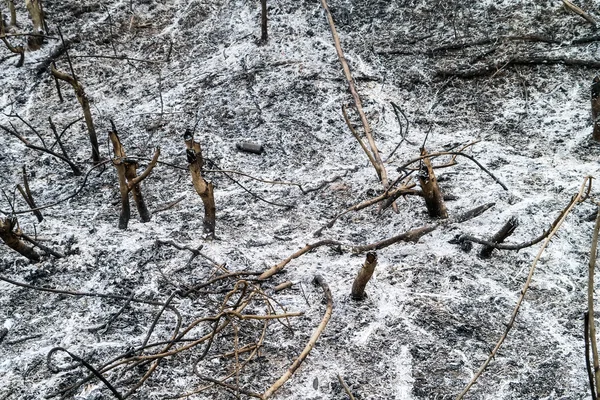 Nach Flächenbrand. — Stockfoto