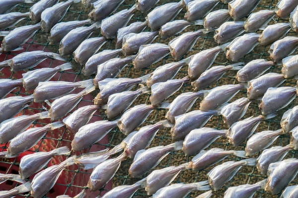 Gezouten vis in markt — Stockfoto