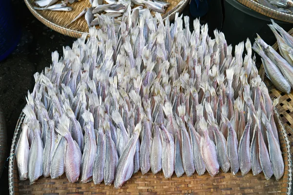 Solená ryba v trhu — Stock fotografie