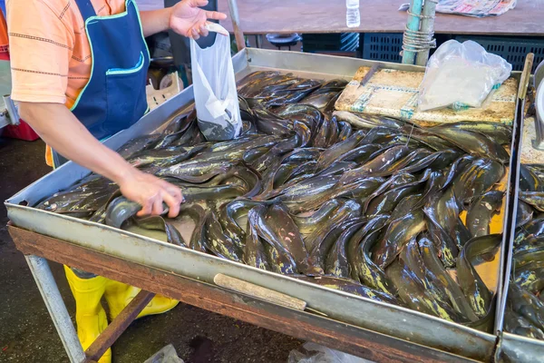 Poisson sur le marché . — Photo