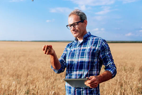 Old man smiling in wheat field farmer