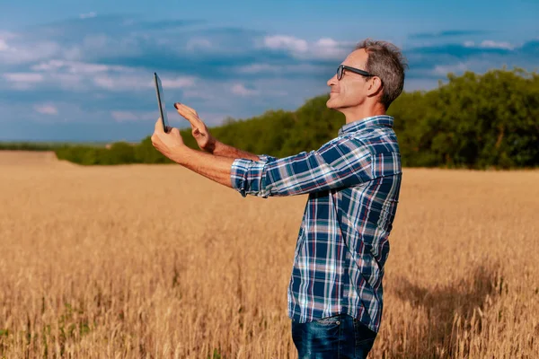 Agricoltore anziano in piedi in un campo di grano scattare foto con la tavoletta ed esaminare il raccolto Immagine Stock