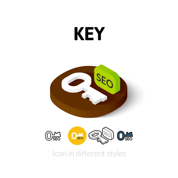 Key icon in different style — Stock Vector