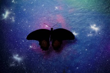 KÜÇÜK GÖREVLİ DÜNYA 'DA GÖREVLİ