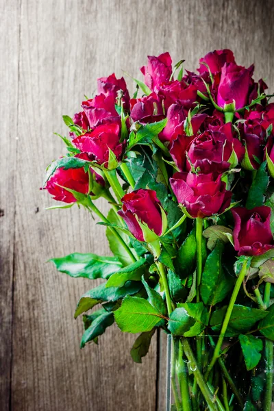 Natureza morta com um ramo florescente de rosas vermelhas — Fotografia de Stock