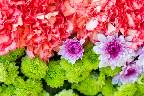 Fundo abstrato de flores. Close-up. — Fotografia de Stock